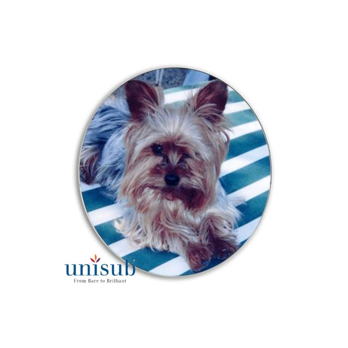 montanhas-russas redondas-frp-unisub-home-sekaisa