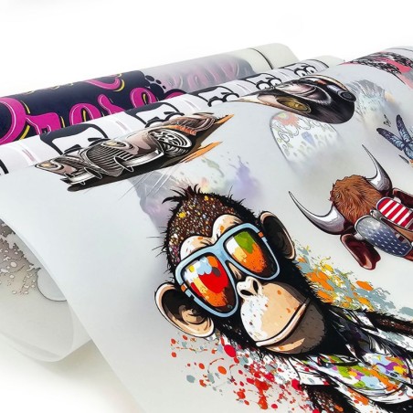 servicio-de-impresion-dtf-mono-sekaisa