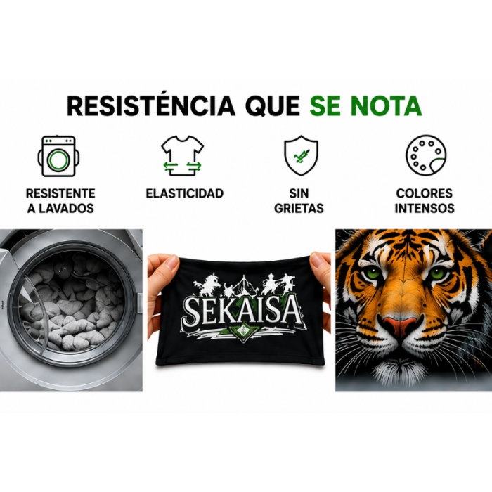 servicio-de-impresion-dtf-impresora-resistencia-sekaisa