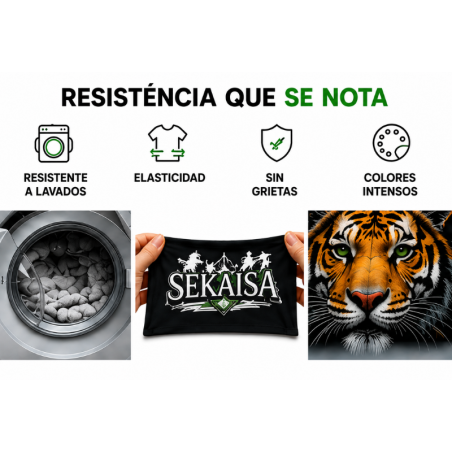 servicio-de-impresion-dtf-impresora-resistencia-sekaisa