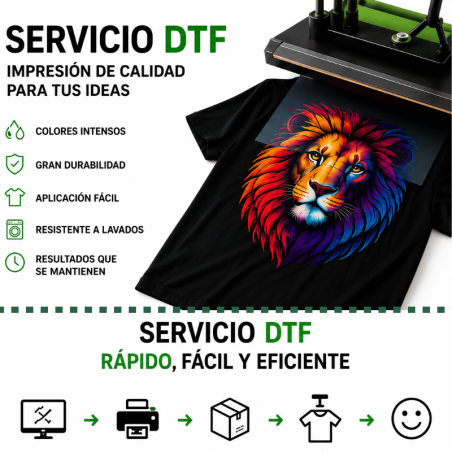 servicio-de-impresion-dtf-impresora-rapido-sekaisa